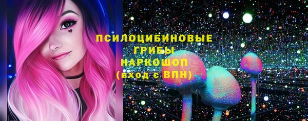 твердый Богданович