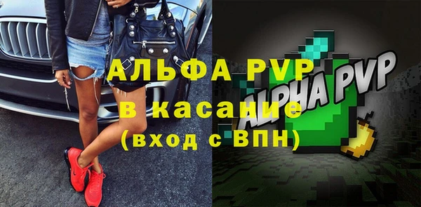 твердый Богданович