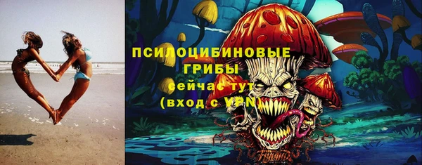 твердый Богданович