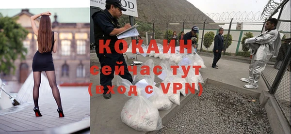 твердый Богданович
